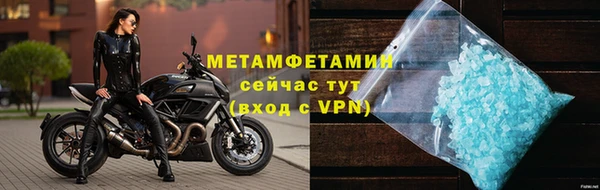 сатива Новокубанск