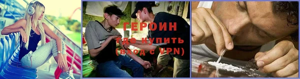 сатива Новокубанск
