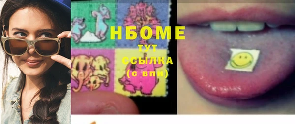 сатива Новокубанск