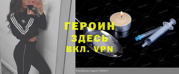 сатива Новокубанск