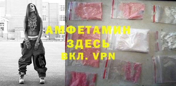 сатива Новокубанск