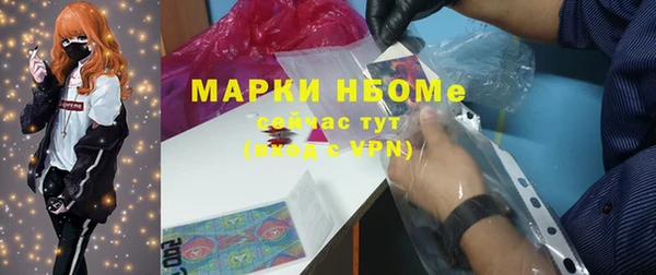 сатива Новокубанск