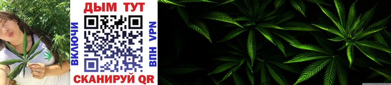 Конопля AK-47  shop как зайти  blacksprut ONION  Ильский  где купить наркотик 